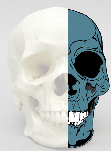 Skull1